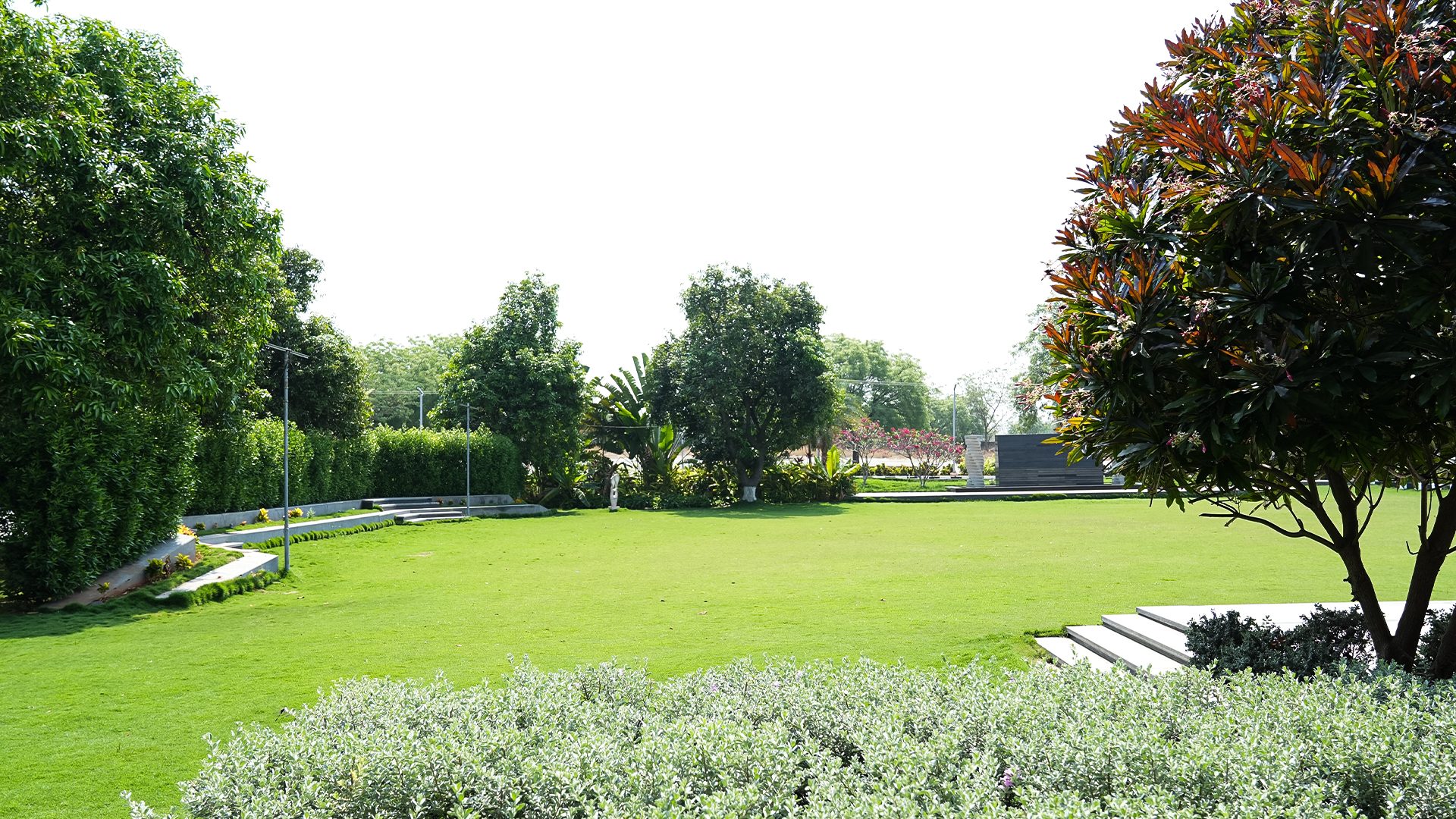 Pearl Lawn, a manicured open lawn framed by flowering trees